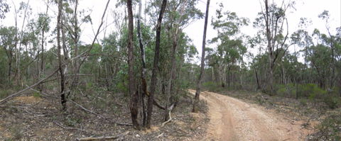 Paddys Ranges State Park - Hotel Accommodation 0