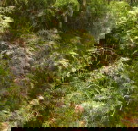 Powder Magazine walking track - Hotel Accommodation