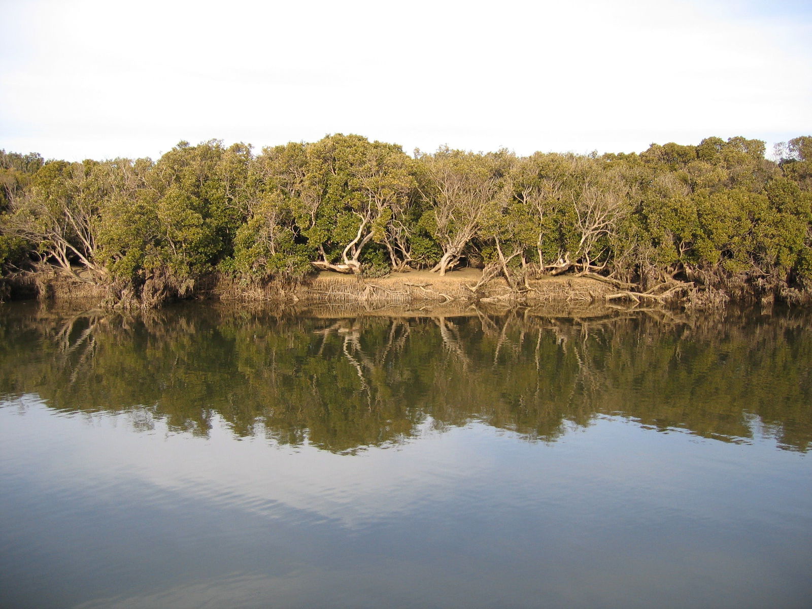 Port Clinton ACT Hotel Accommodation