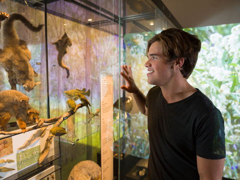 Queensland Museum - Hotel Accommodation 0