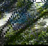 Rainforest Walking Track Hat Head National Park - Hotel Accommodation