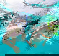 Snorkel Hat Head Creek - Hotel Accommodation