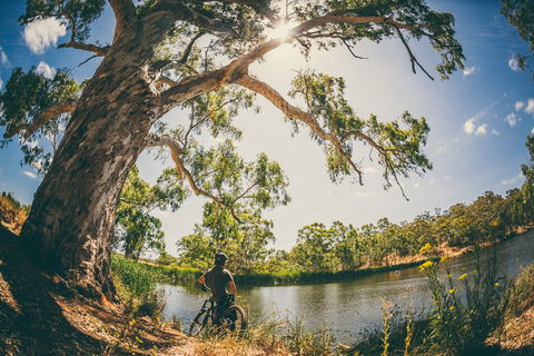 Sturt Gorge Recreation Park - Hotel Accommodation 0