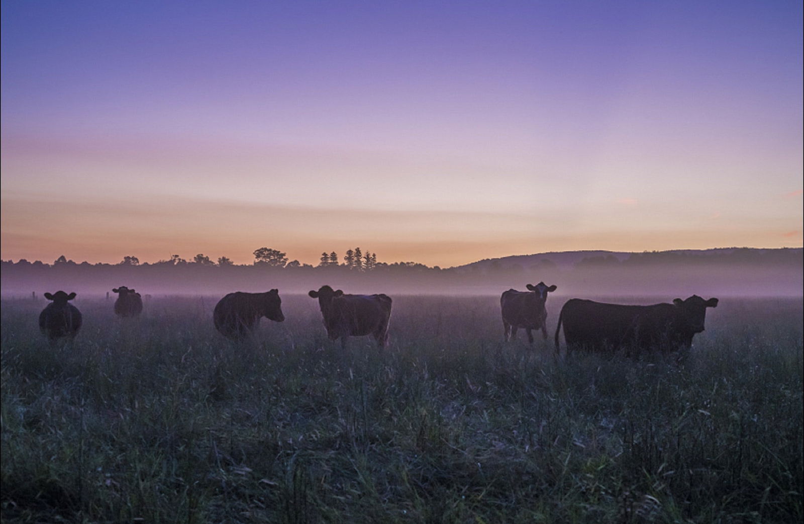 Tapitallee NSW Hotel Accommodation