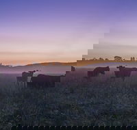 Tapitallee - Hotel Accommodation