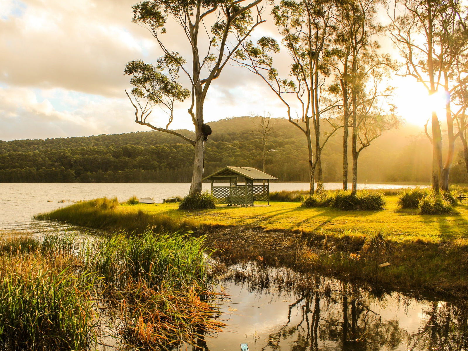 Tarbuck Bay NSW Hotel Accommodation