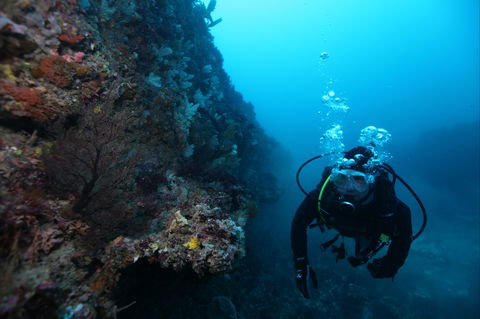 Twelve Apostles Marine National Park - Hotel Accommodation 0