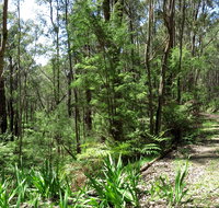 Tyers Park - Hotel Accommodation