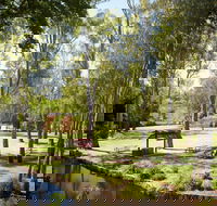 Wangaratta's Significant Trees Walks