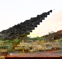 Whyalla Conservation Park - Hotel Accommodation