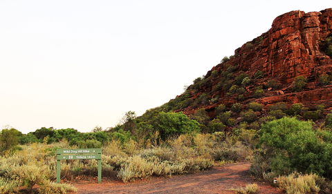 Whyalla Conservation Park - Hotel Accommodation 0