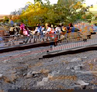 Australian Age of Dinosaurs