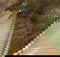 Balcombe Creek Estuary Boardwalk - Hotel Accommodation