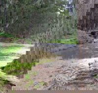 Bangadilly National Park - Hotel Accommodation
