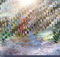 Bayview Conservation Area - Hotel Accommodation