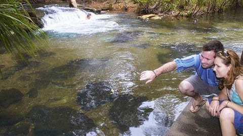 Berry Springs - Hotel Accommodation 1