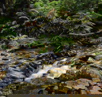 Budderoo National Park - Hotel Accommodation