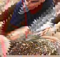 Capricorn Way - Hotel Accommodation