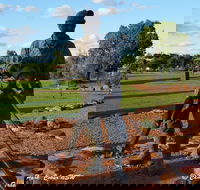 Cobar Miners Heritage Park - Hotel Accommodation