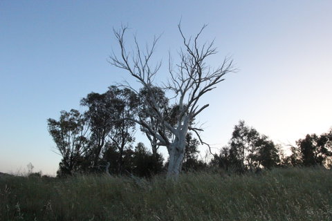 Cooleman Ridge - Hotel Accommodation 1