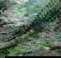 Corn Trail - Hotel Accommodation