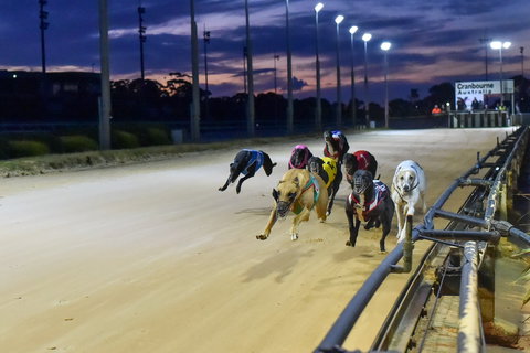 Cranbourne Greyhound Racing Club - Hotel Accommodation 1