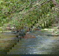 Florence Creek walk - Hotel Accommodation