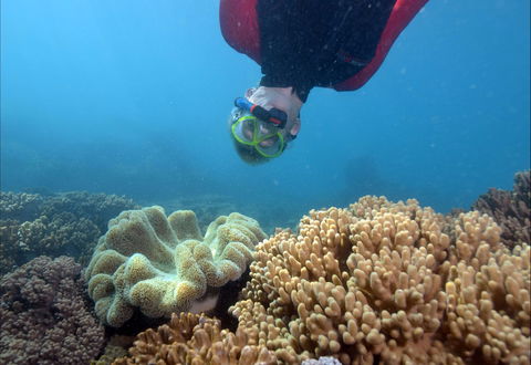 Geoffrey Bay Snorkel Trail - Hotel Accommodation 0