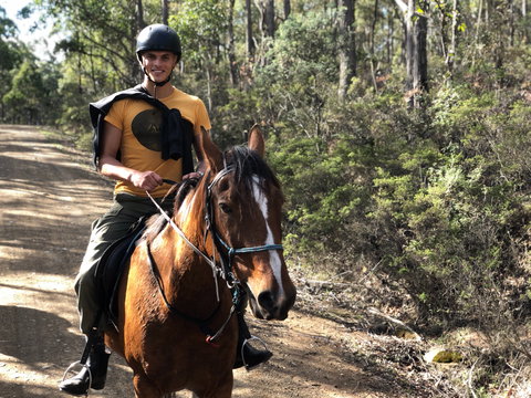Horse Riding Tasmania - Hotel Accommodation 2