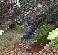 Horseshoe Lagoon Reserve