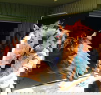 Iris Lodge Alpacas - Hotel Accommodation