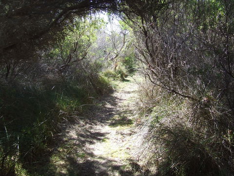 Jack And Hilda McArthur Walk - Hotel Accommodation 0