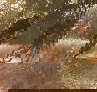 Kholo Gardens Trails - Hotel Accommodation