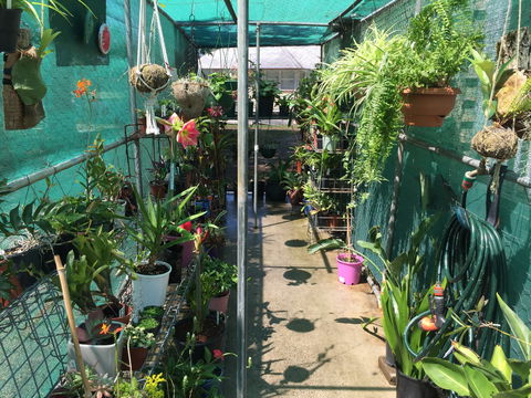 Kilcoy Craft Market - Hotel Accommodation 1