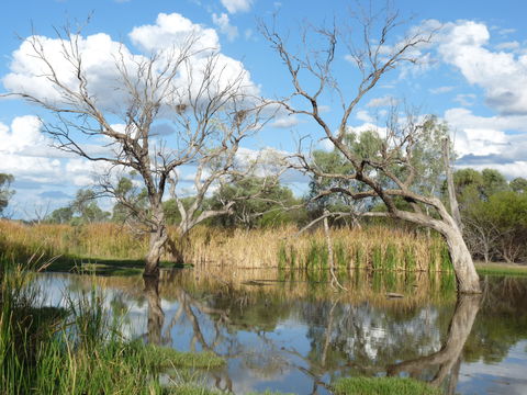 Lagoon Creek - Hotel Accommodation 0