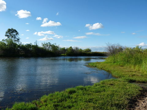 Lagoon Creek - Hotel Accommodation 2