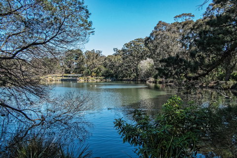 Lake Alexandra Reserve - Hotel Accommodation 1