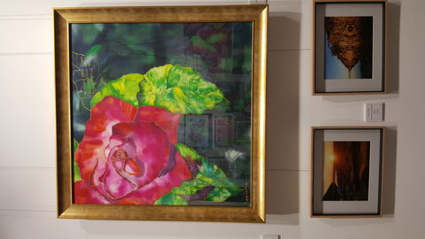 Macleay Valley Community Art Gallery - Hotel Accommodation 0