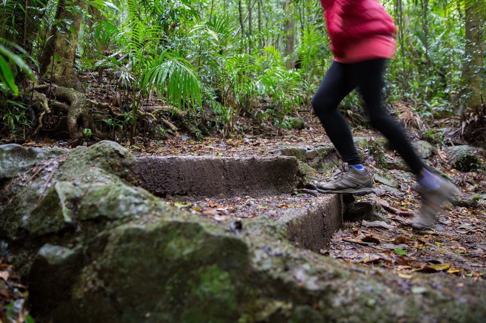 Mount Glorious QLD Hotel Accommodation