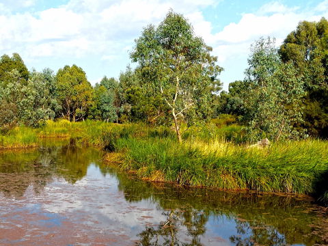 Mansfield Mullum Wetlands - Hotel Accommodation 0