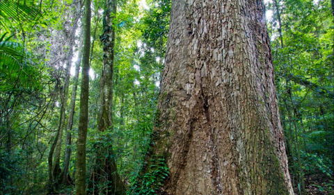 Murray Scrub Walking Track - Hotel Accommodation 0