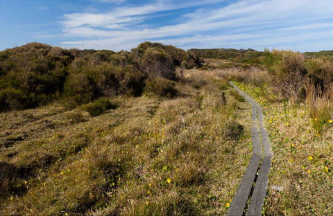 Murramarang Aboriginal Area Walking Track - Hotel Accommodation 0