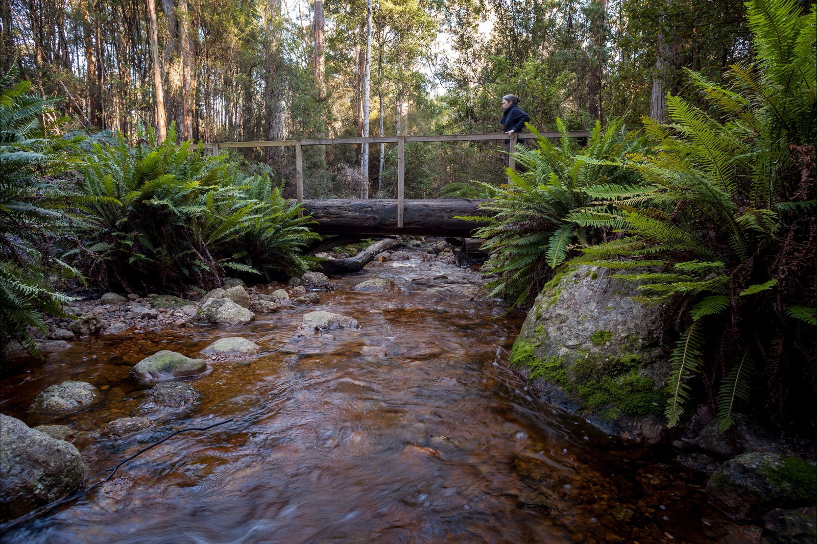 Gowrie Park TAS Hotel Accommodation