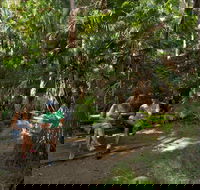 Palms picnic area - Hotel Accommodation