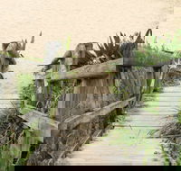 Pebbly Beach to Snake Bay walking track - Hotel Accommodation