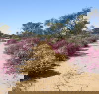 Reynoldson's Flora Reserve - Hotel Accommodation