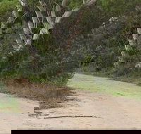 Riverview walking track - Hotel Accommodation