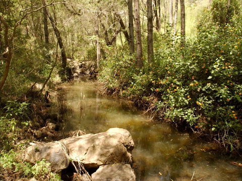Sandy Creek Track - Hotel Accommodation 0