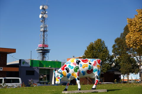 Shepparton Tower - Hotel Accommodation 1