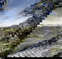 Snow Gums boardwalk - Hotel Accommodation